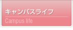 LpXCt